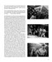 Page: - 33 | Aperture