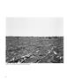 Page: - 48 | Aperture