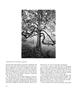 Page: - 68 | Aperture