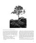 Page: - 69 | Aperture