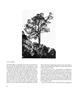 Page: - 70 | Aperture