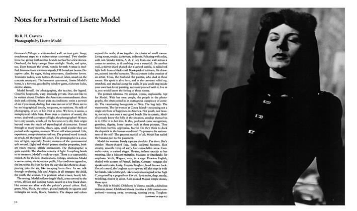 Notes For A Portrait Of Lisette Model