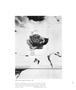 Page: - 58 | Aperture