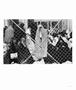 Page: - 37 | Aperture