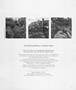 Page: - 77 | Aperture
