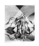 Page: - 53 | Aperture