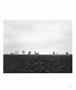 Page: - 49 | Aperture