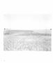 Page: - 50 | Aperture