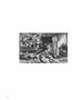 Page: - 58 | Aperture