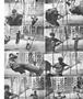 Page: - 63 | Aperture