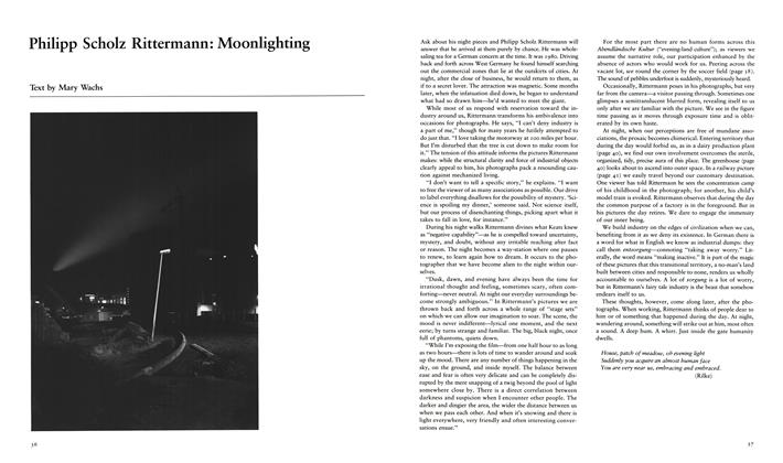 Philipp Scholz Rittermann: Moonlighting