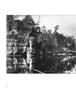 Page: - 58 | Aperture