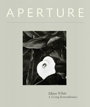 Summer 1984 | Aperture