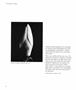 Page: - 16 | Aperture
