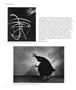 Page: - 32 | Aperture