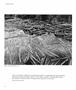 Page: - 60 | Aperture