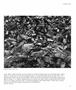 Page: - 67 | Aperture