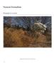 Page: - 46 | Aperture