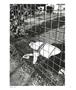 Page: - 75 | Aperture