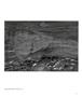 Page: - 27 | Aperture