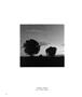 Page: - 36 | Aperture