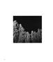 Page: - 38 | Aperture