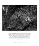Page: - 63 | Aperture