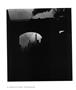 Page: - 38 | Aperture