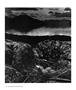 Page: - 53 | Aperture
