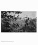 Page: - 19 | Aperture