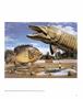 Page: - 29 | Aperture