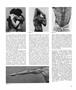 Page: - 47 | Aperture