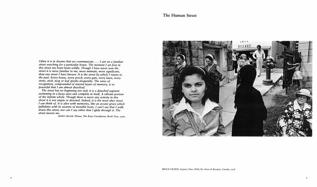 The Human Street