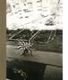 Page: - 20 | Aperture