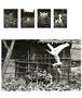 Page: - 26 | Aperture