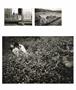 Page: - 27 | Aperture