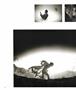 Page: - 28 | Aperture