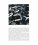 Page: - 37 | Aperture