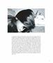 Page: - 47 | Aperture