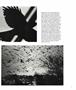 Page: - 53 | Aperture