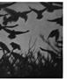 Page: - 55 | Aperture