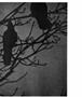 Page: - 57 | Aperture