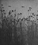 Page: - 58 | Aperture
