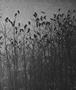 Page: - 59 | Aperture