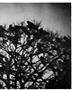 Page: - 61 | Aperture