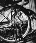 Page: - 69 | Aperture