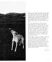 Page: - 31 | Aperture