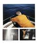Page: - 36 | Aperture