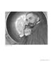 Page: - 27 | Aperture