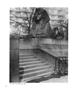 Page: - 56 | Aperture